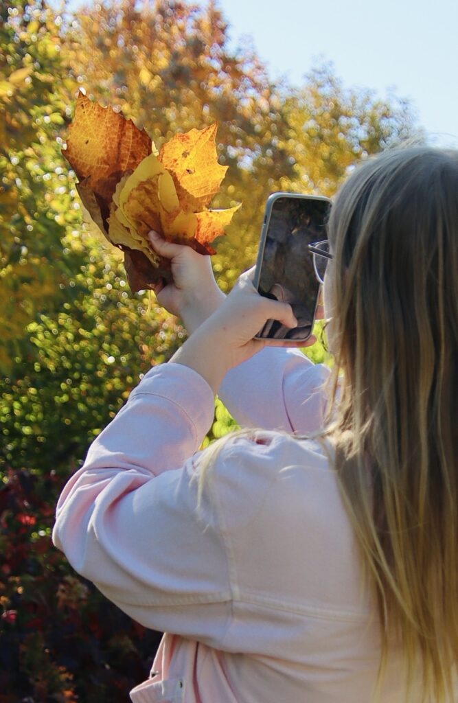 Frau von hinten fotografiert mit dem Handy einen Strauß großer, gelb-orange gefärbter Herbstblätter vor sonnigem Laub.